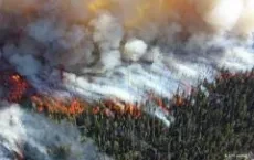 Alder Fire