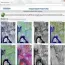  Intergraph GeoSpatial Server