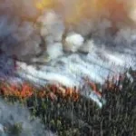Alder Fire