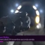 Space Walks